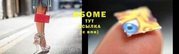 хмурый Алексин