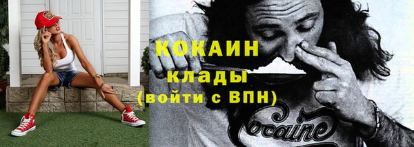 хмурый Алексин
