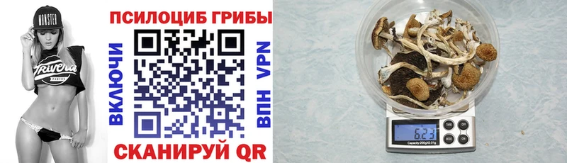 наркошоп  Орёл  Галлюциногенные грибы Psilocybine cubensis 
